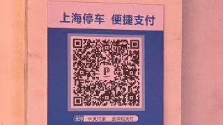 扫“上海停车”码缴费，竟也要先下载APP？步骤繁琐，市民被迫改用现金：我就想快点离开……