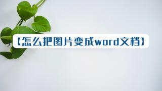 如何把图片变成word文档？