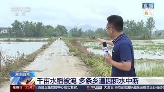 湖南临湘坦渡镇多轮短时强降水超7000亩水稻被淹