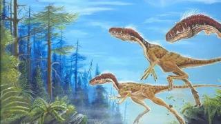 我国古生物学家发现暴龙类恐龙的新属种