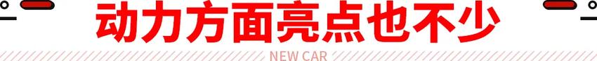 奇瑞瑞虎9上市，定位于中型SUV，提供5座和7座两种布局