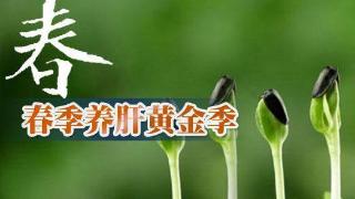 早春养肝正当时，多喝天然“养肝王”，清肝排毒，肝越来越年轻