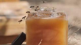 蜂蜜富含维生素c吗