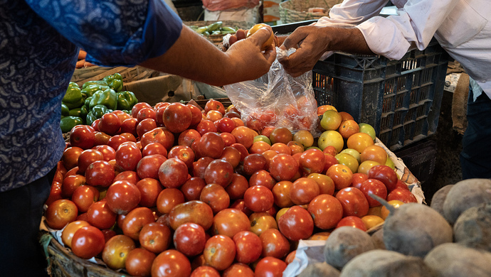 番茄价格失控！印度各地上演真人版“偷菜”
