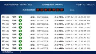 招商、金茂联合体29亿元竞得上海宝山宅地，溢价率14.86%