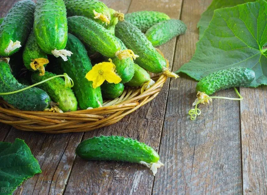夏天来了，少吃西瓜多吃它，口感清爽又开胃，还是解暑减脂好帮手
