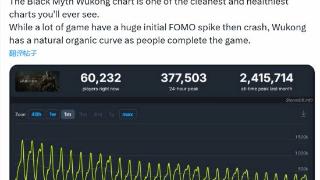 国外玩家分享《黑神话》在线人数曲线：完美且健康！