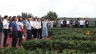 宜宾翠屏区被授予“四川茶业科技示范区”