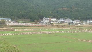 广元剑阁：高标准农田为打造粮食生产核心区提供根本保障