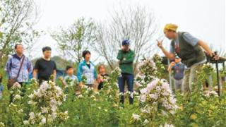 坚定走在培育绿色公民的道路上