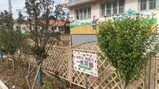青岛市探索长效机制激发村民自发参与人居环境整治“一米菜园”扮靓乡村环境！