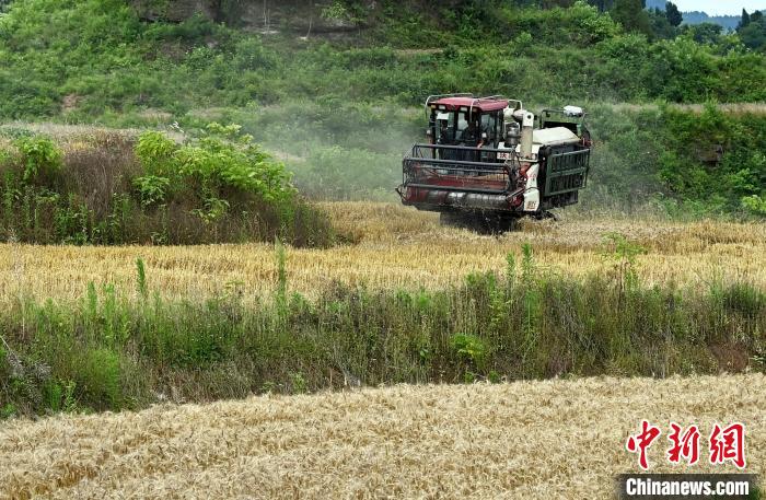 四川蓬安：农机助农人 抢收抢种忙