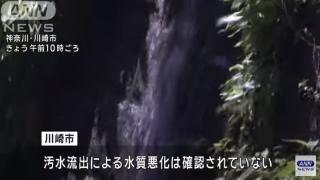 日本一综合设施污水连续38年直接排河 当地政府回应：对水质没影响