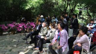自然森林音乐会在镇江“城市绿肺”南山拉开帷幕