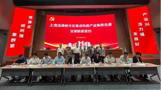 临港新片区第七家产业集群党委成立：推动集成电路产业融合发展