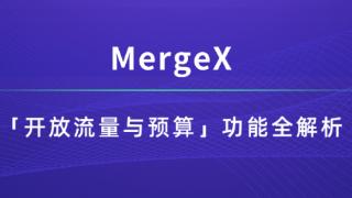 MergeX 平台：「开放流量与预算」功能全解析