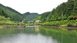 初秋，来印江亚盘林邂逅一场不一样风景