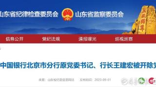 中行北京分行原行长王建宏被开除党籍：以贷谋私、风腐一体的典型
