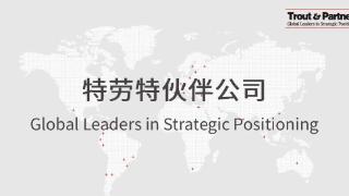 特劳特中国公司的定位咨询：助力企业正确定位