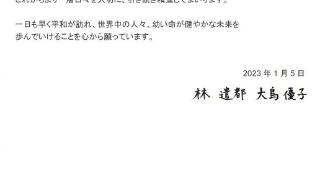 前AKB48成员大岛优子产子 去年八月宣布怀孕