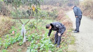 三级联动铺就康戒人员回归路