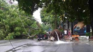 台风“摩羯”在越南已造成11人死亡事件脉络