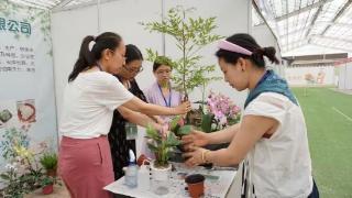 青州举办首届花卉产业技能大赛