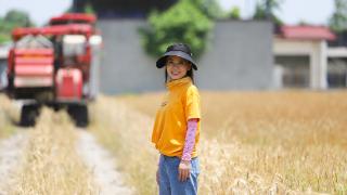 农机梦想家|网红“小黑妹”，跨区路上的青春