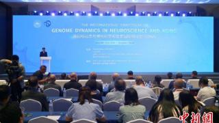 基因组动态与神经科学和衰老国际研讨会在山东青岛启幕 系首次在中国举行