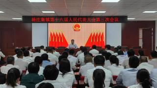 郓城县杨庄集镇第十六届人民代表大会第三次会议胜利召开