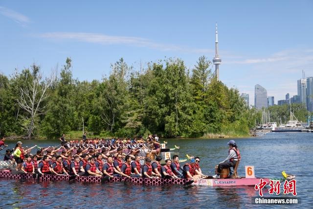 加拿大多伦多举行第36届国际龙舟节