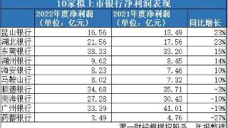 IPO银行区域表现“冰火两重天”，药都银行不良率超过3%