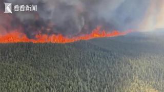 仍有339处失控！加拿大遭遇“史上最糟糕野火季”