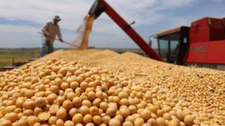 中国抢购美国黄豆，巴西发现原因不简单，正考虑收回税收新政策