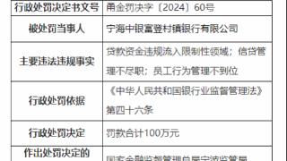 因员工行为管理不到位等，宁海中银富登村镇银行被罚100万元