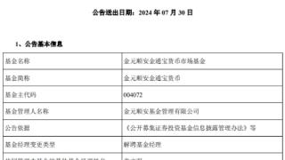 苏利华离任金元顺安金通宝货币