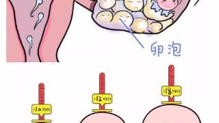 有以下四种症状要注意可能是排卵的症状！