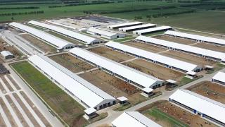 齐齐哈尔市依安瑞信达万头奶牛养殖项目竣工投产