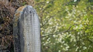 沪贵联动｜阳明·问道十二境之古道心旅：古道千回百转 此心终见光明