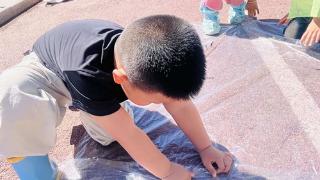 淄博市淄川区实验幼儿园开展户外自然探究游戏主题活动