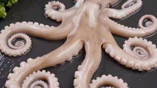 探秘美食艺术：八爪鱼如何做出令人陶醉的美味
