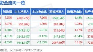 美利云（000815）12月26日主力资金净买入4107.72万元