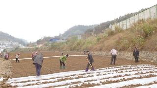 “水毁地”变“增收田”