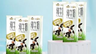 中国邮政专营：皇氏乳业纯牛奶10盒12.9元大促