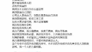 辍学贷款做游戏小伙发文回怼网络谩骂 展示游戏封面图