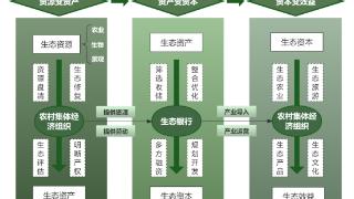 长安大学学子以“三色”模式助力陕西乡村振兴