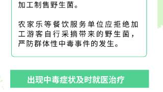 一图速览︱别乱吃野生菌！贵州省市监局发布提示