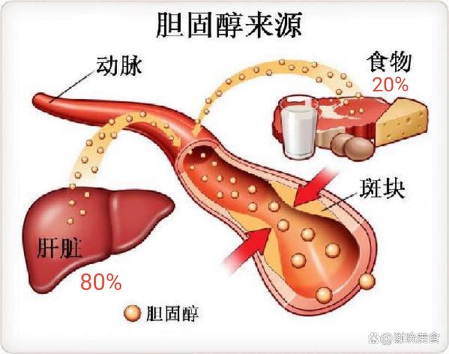 建议：这4种食物堪称“胆固醇之王”，吃多血管易堵，中老年少吃