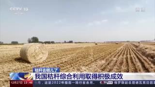 江苏淮安洪泽区农机化技术推广秸秆生物腐熟还田生态效应