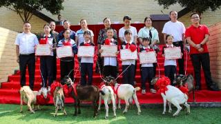 “我想要只羊！” 四川宣汉天生镇七里学校学生的最大心愿